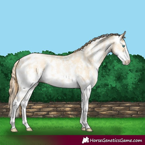 Horse Color:Buckskin Pearl Dun Sabino 