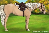Horse Color:Gold Champagne