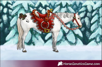 Horse Color:Buckskin Roan Blanket 