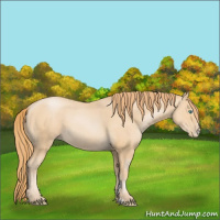 Horse Color:Smoky Black Pearl Sabino 