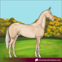 Horse Color:Palomino Pearl