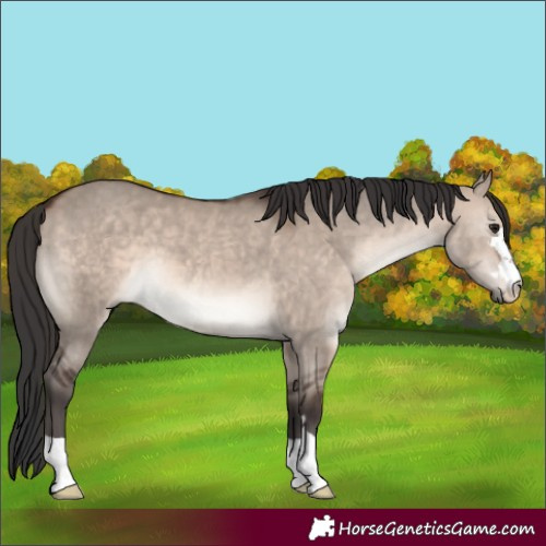 Horse Color:Brown Dun Mushroom 