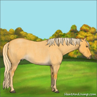 Horse Color:Palomino Roan Dun