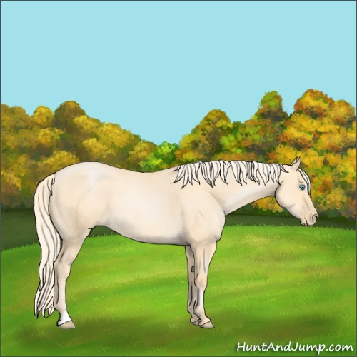 Horse Color:Palomino Pearl Dun Sabino 