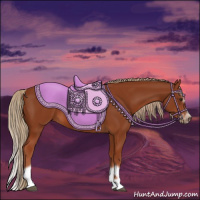 Horse Color:Chestnut Splash Frame 