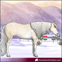 Horse Color:Palomino Pearl Sabino 