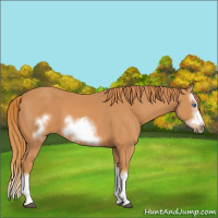 Horse Color:Chestnut Splash Frame 