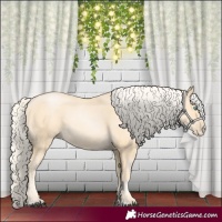 Horse Color:Palomino Pearl Sabino 