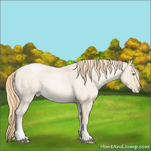 Horse Color:Smoky Blue Roan Pearl Sabino
