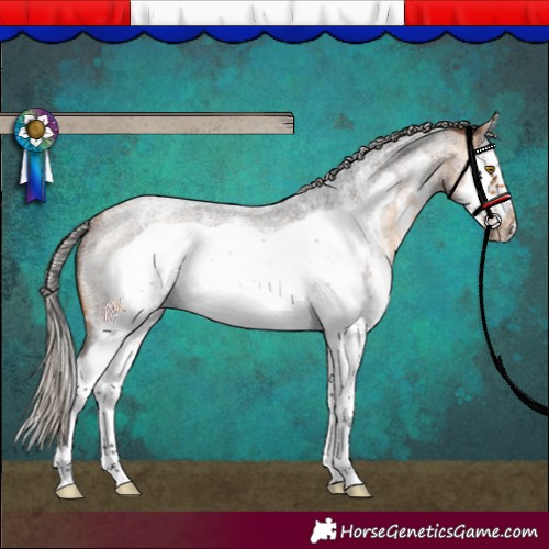 Horse Color:Silver Buckskin Roan Sabino Splash Frame Rabicano 