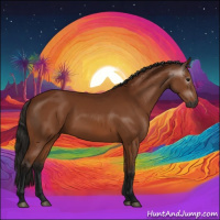 Horse Color:Gray Bay 