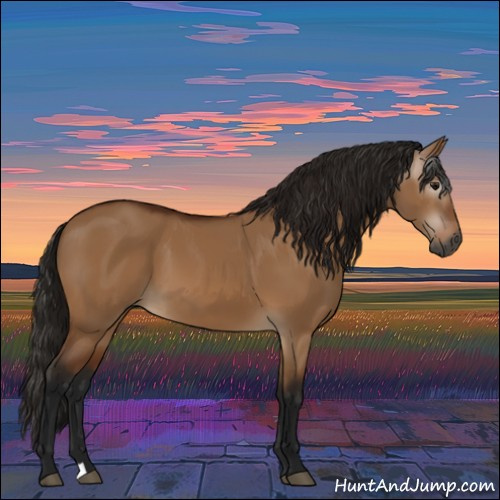 Horse Color:Gray Bay Dun 