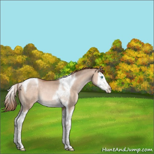 Horse Color:Brown Pearl Dun Mushroom Splash Tobiano 