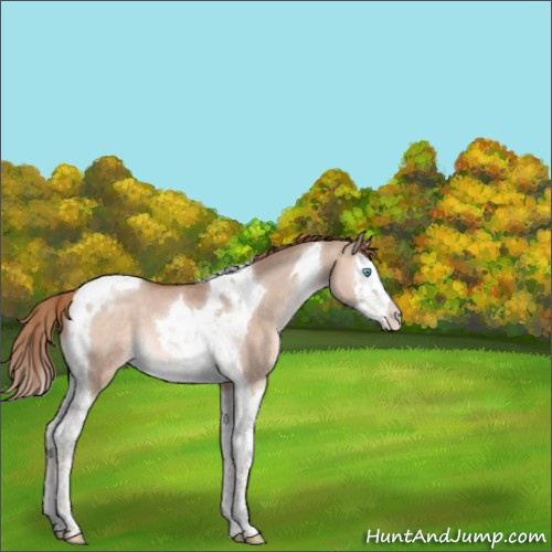 Horse Color:Brown Pearl Dun Mushroom Splash Tobiano 