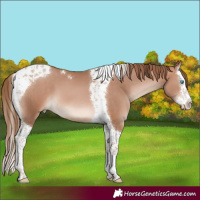 Horse Color:Brown Pearl Mushroom Splash Tobiano 