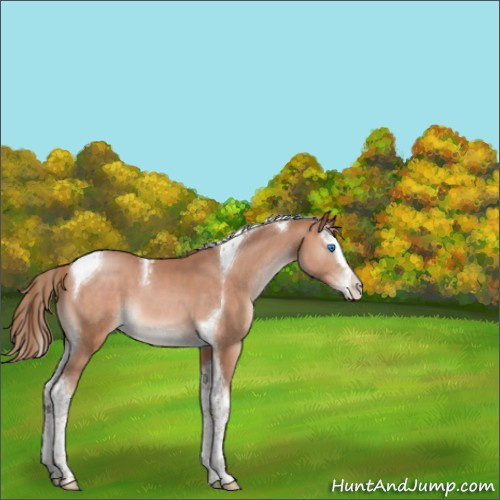 Horse Color:Brown Pearl Mushroom Splash Tobiano 