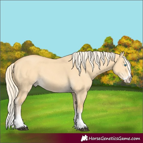 Horse Color:Palomino Dun Splash