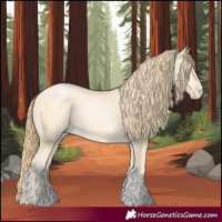Horse Color:Buckskin Pearl Sabino 