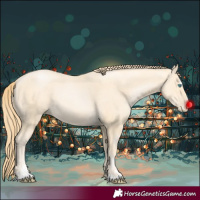 Horse Color:Buckskin Pearl Sabino 