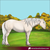 Horse Color:Silver Amber Cream Champagne Pearl 