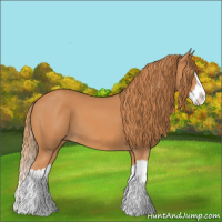 Horse Color:Chestnut Splash 
