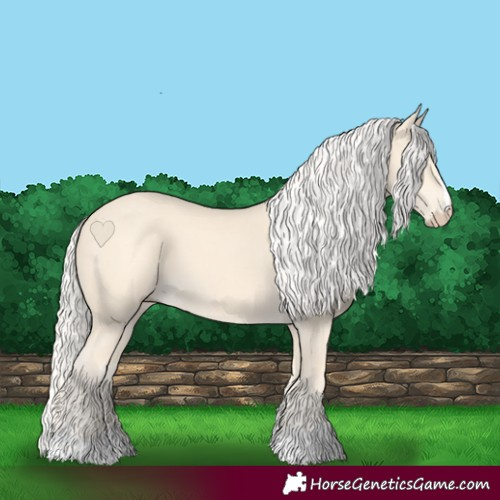 Horse Color:Cremello