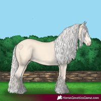 Horse Color:Cremello 