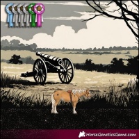 Horse Color:Palomino 