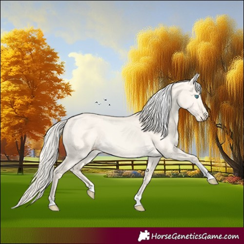 Horse Color:Cremello Dun Tobiano