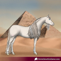 Horse Color:Smoky Creme Dun Tobiano 
