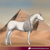 Horse Color:Smoky Creme Dun Tobiano 