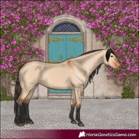Horse Color:Bay Dun