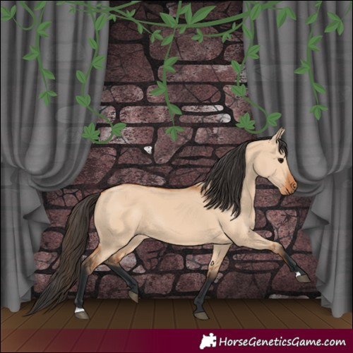 Horse Color:Bay Dun