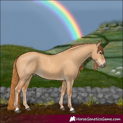 Horse Color:Red Dun 