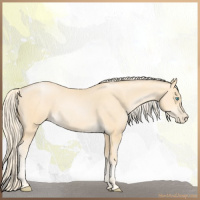 Horse Color:Palomino Pearl Sabino