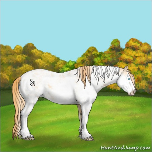 Horse Color:Buckskin Pearl Sabino