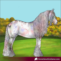 Horse Color:Nacre White Spotted Chocolate Silver Brown Chinchilla Onyx