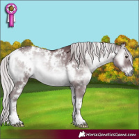 Horse Color:White Spotted Chocolate Silver Blue Onyx Chinchilla 