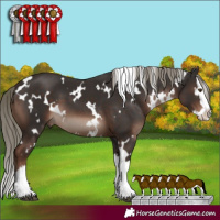 Horse Color:White Spotted Liver Chestnut Mushroom Splash 
