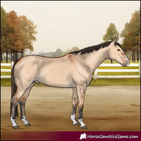 Horse Color:Bay Dun 
