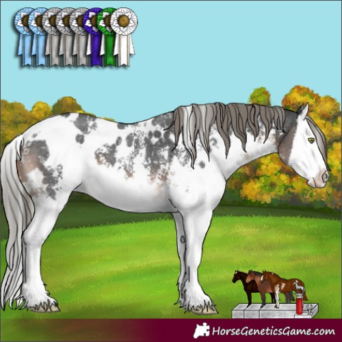 Horse Color:White Spotted Liver Chestnut Mushroom Sabino Splash 