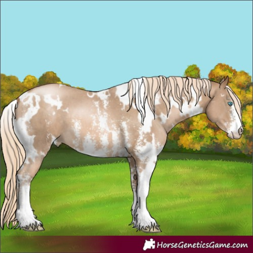 Horse Color:White Spotted Chocolate Palomino Pearl Sabino 