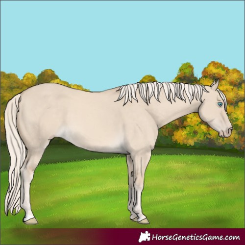 Horse Color:Cremello Dun 