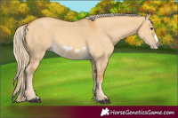 Horse Color:Palomino Dun Splash Frame 
