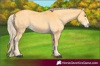 Horse Color:Palomino Dun Splash 