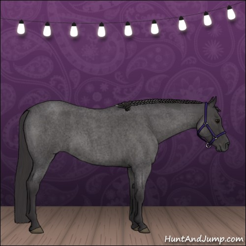 Horse Color:Smoky Blue Roan 