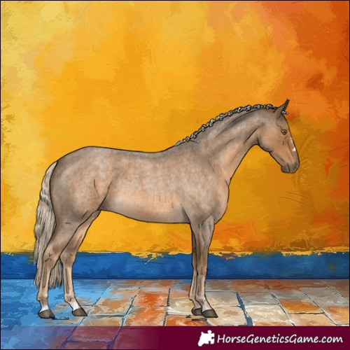 Horse Color:Chocolate Palomino Roan 