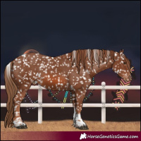 Horse Color:Chestnut Tobiano Snowflake Varnish