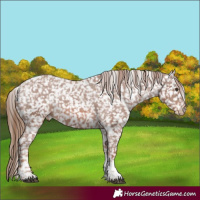 Horse Color:Chestnut Tobiano Snowflake Varnish
