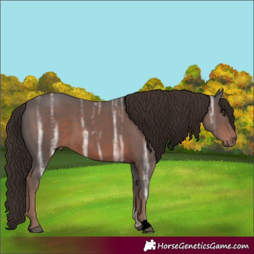 Horse Color:Liver Chestnut Ice 